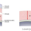 스마일 - 강동구 천호대로 1097 | 스마일