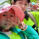 북가좌용인대태권도