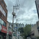 반송낙지 이미지