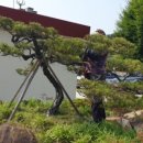 철마우체국 이미지