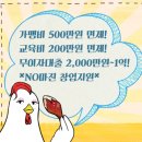 꼬꼬비어 - 춘천시 퇴계로77번길 1 | 꼬꼬비어
