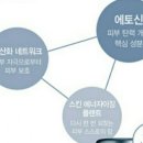 (주)티그린 이미지