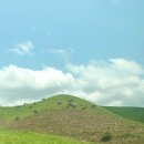 오룡목장 이미지