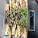 산촌농장(2) 네이버블로그