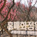 에로스파크 이미지