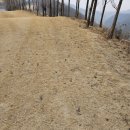 샴발라 컨트리클럽 | 샴발라cc 겨울 라운드 후기 코스 상태