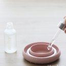 카페멜로이 | 수경 식물 키우기, 메이크정글 멜로이 나한송 플랜테리어