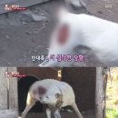 자학농장 스포츠투데이
