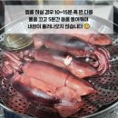 7월 27일. 생물 자망오징어,대청도암치홍어,해신탕, 동해살고동,명주조개,참소라 이미지