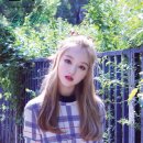 고원 이미지