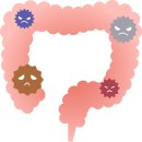 유어스짐 이미지