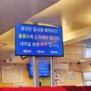 주식회사 독도문방구 | [ 경상북도 가볼만한곳 ] 울릉도 강릉 한국관광100선 꼭 가봐야할곳 국내섬 강릉에서 저동항 울릉도...