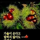 서로 위안이 되는 사람 이미지