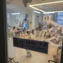 힐링공간 | 배곧 고양이 카페 고양이주택 방문 후기 힐링 제대로 되는 공간🐱