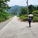 자등농장 Daum카페