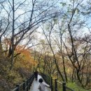 안산자락길 숲속카페 | 🍂 안산자락길 따라 홍제천까지 아이가 한 번도 안아달라 하지 않았던, 완벽했던 가을