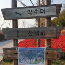 거제시롤러경기장 | 거제 독봉산 웰빙공원 봄꽃구경