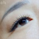 븉희