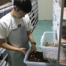 옥천슈퍼
