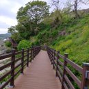 모사금해수욕장 이미지