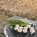 유정농장 이미지