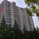 분당-243 이미지