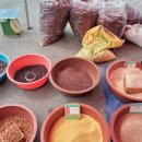 태백수족관 이미지