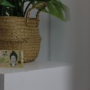 파비오더리미티드(파비오더씨타) 이미지