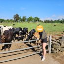 승연목장 이미지