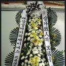 에이치제이에스 이미지