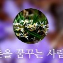 도사리 여주 꿀 농장 이미지