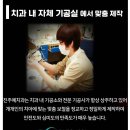 예치과기공소 이미지