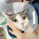 송파 마리동물병원 이미지