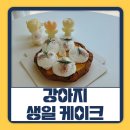 소담하개 | 강아지 생일 케이크 만들기 살 덜찌는 수제간식 원데이클래스