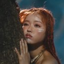 숲의 아이 이미지