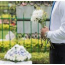 미드미상조