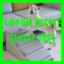 저단41 | 강아지 계단 추천 더플래 애정계단 내돈내산 후기, 슬개골 탈구 예방 슬라이드 스텝 4단 6단 사이즈...