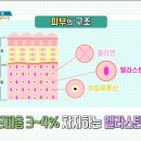드림내과 이미지
