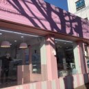 셀럽퍼피 | 수원강아지분양 셀럽퍼피, 애견용품 사고 포메 아가들 구경하고 왔어요