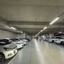 명성손만두전골 | 경기 시흥 배곧 맛집 명성손만두전골 주차 후기