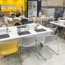 강진군 환경정화센터 | 서울가드닝클래스 후기, 실내공기정화식물 더피고사리 심기로 식물초보 탈출하기