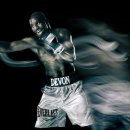 샤츠(Schatz) 이미지