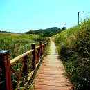 문발공원 이미지