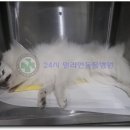 밀리언동물병원 이미지