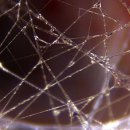 시퀀스무브먼트 이미지