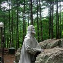 겟세마니 동산 이미지