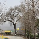 마차초등학교 이미지