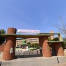 양사초등학교병설유치원 이미지