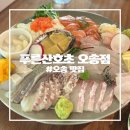 산호이벤트 | [오송 맛집] 숙성사시미와 해산물 요리 전문점 푸른산호 오송점 내돈내산 후기