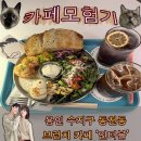 ‘인더볼’ 용인 수지구 동천동 행리단길 브런치 카페 [찾았다 내 인생 카페]